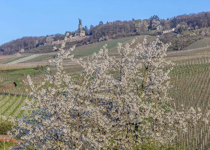 Rose 3* Rüdesheim am Rhein